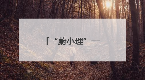 “蔚小理”一季度财报分析：理想盈利稳健 小鹏亏损收窄