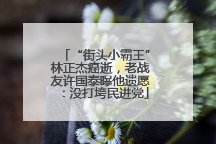 “街头小霸王”林正杰癌逝，老战友许国泰曝他遗愿：没打垮民进党