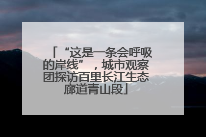 “这是一条会呼吸的岸线”，城市观察团探访百里长江生态廊道青山段