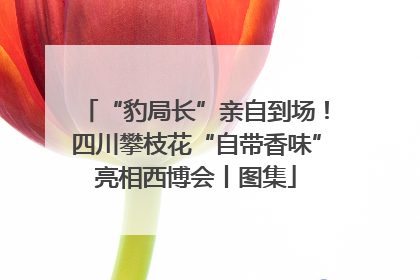 “豹局长”亲自到场！四川攀枝花“自带香味”亮相西博会丨图集