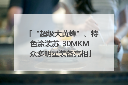 “超级大黄蜂”、特色涂装苏-30MKM 众多明星装备亮相