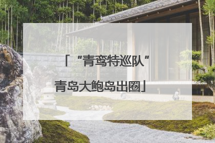 “青鸾特巡队”青岛大鲍岛出圈