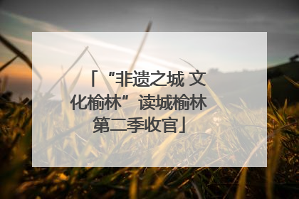 “非遗之城 文化榆林”读城榆林第二季收官