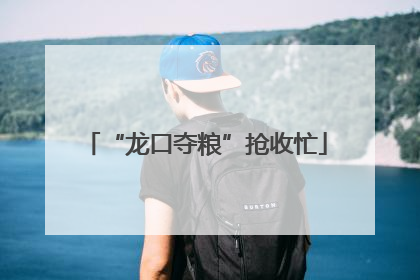 “龙口夺粮”抢收忙