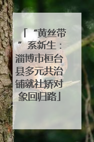 “黄丝带”系新生：淄博市桓台县多元共治铺就社矫对象回归路