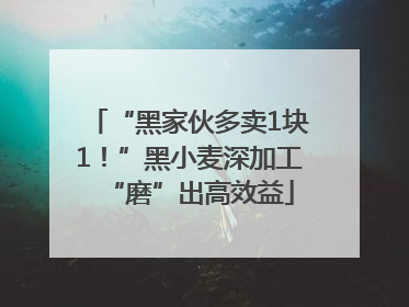 “黑家伙多卖1块1！”黑小麦深加工“磨”出高效益