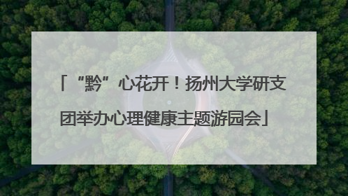 “黔”心花开!扬州大学研支团举办心理健康主题游园会