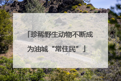 珍稀野生动物不断成为油城“常住民”