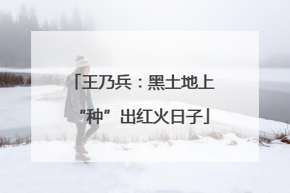 王乃兵：黑土地上“种”出红火日子