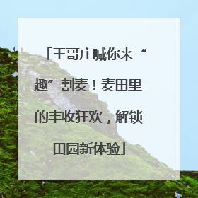 王哥庄喊你来“趣”割麦！麦田里的丰收狂欢，解锁田园新体验