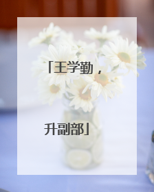 王学勤，升副部
