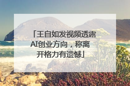 王自如发视频透露AI创业方向，称离开格力有遗憾