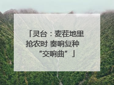 灵台：麦茬地里抢农时 奏响复种“交响曲”