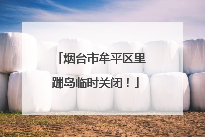 烟台市牟平区里蹦岛临时关闭！