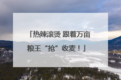 热辣滚烫 跟着万亩粮王“抢”收麦！
