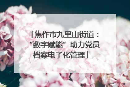 焦作市九里山街道：“数字赋能”助力党员档案电子化管理
