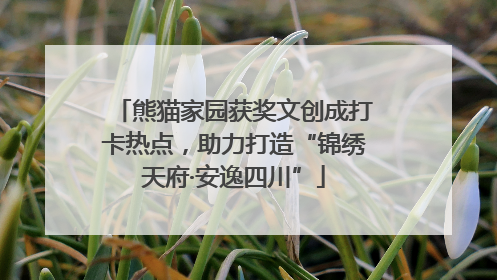 熊猫家园获奖文创成打卡热点，助力打造“锦绣天府·安逸四川”