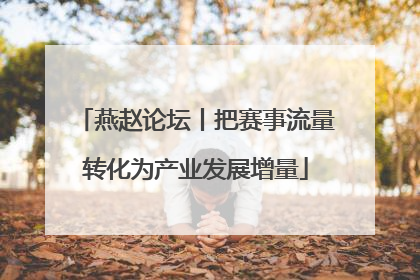 燕赵论坛丨把赛事流量转化为产业发展增量