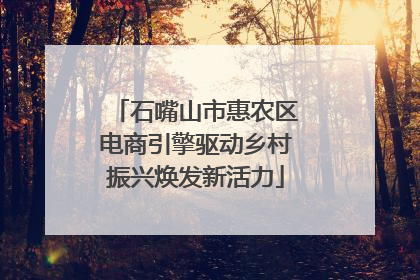 石嘴山市惠农区电商引擎驱动乡村振兴焕发新活力