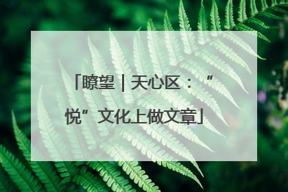 瞭望｜天心区：“悦”文化上做文章