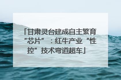 甘肃灵台建成自主繁育“芯片”：红牛产业“性控”技术弯道超车