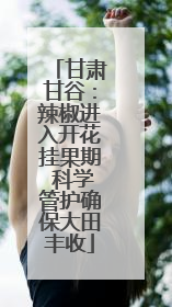 甘肃甘谷：辣椒进入开花挂果期 科学管护确保大田丰收