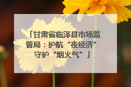 甘肃省临泽县市场监管局：护航“夜经济” 守护“烟火气”