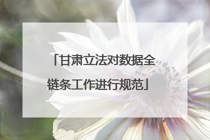 甘肃立法对数据全链条工作进行规范