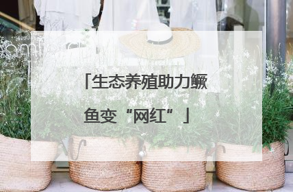生态养殖助力鳜鱼变“网红”