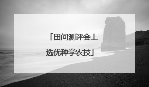田间测评会上选优种学农技
