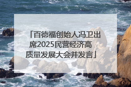 百德福创始人冯卫出席2025民营经济高质量发展大会并发言