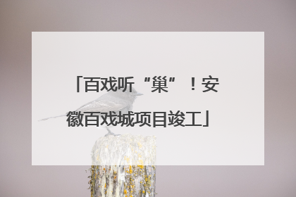 百戏听“巢”！安徽百戏城项目竣工