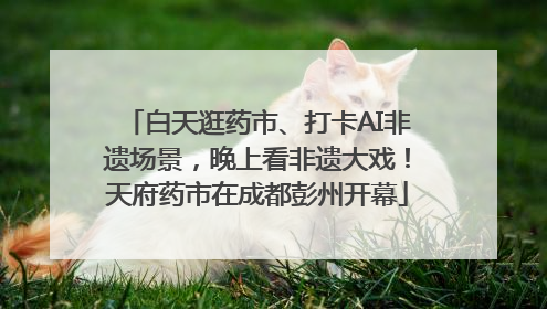 白天逛药市、打卡AI非遗场景，晚上看非遗大戏！天府药市在成都彭州开幕