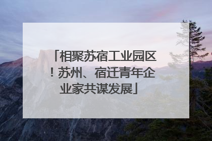 相聚苏宿工业园区！苏州、宿迁青年企业家共谋发展