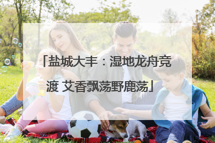 盐城大丰：湿地龙舟竞渡 艾香飘荡野鹿荡