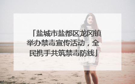 盐城市盐都区龙冈镇举办禁毒宣传活动，全民携手共筑禁毒防线
