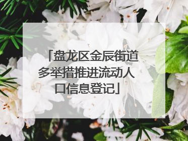 盘龙区金辰街道多举措推进流动人口信息登记