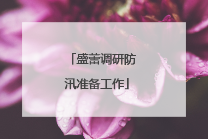 盛蕾调研防汛准备工作