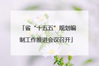 省“十五五”规划编制工作推进会议召开