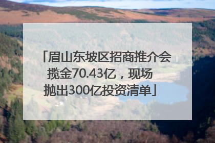 眉山东坡区招商推介会揽金70.43亿，现场抛出300亿投资清单