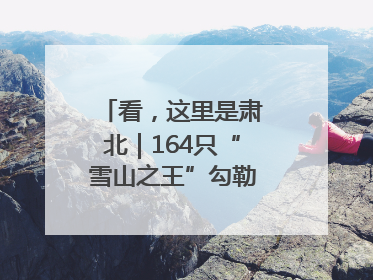 看，这里是肃北｜164只“雪山之王”勾勒生态新图景