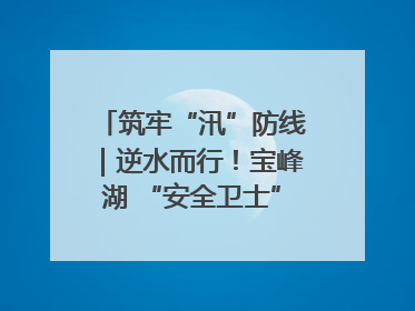 筑牢“汛”防线｜逆水而行！宝峰湖 “安全卫士” 出鞘 防汛应急再添硬核力量