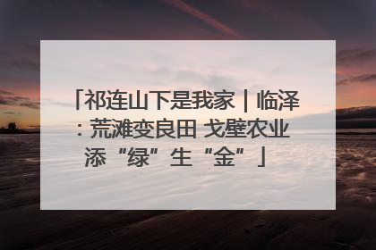 祁连山下是我家｜临泽：荒滩变良田 戈壁农业添“绿”生“金”
