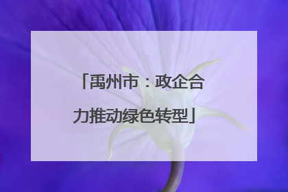 禹州市：政企合力推动绿色转型