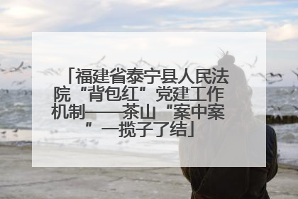 福建省泰宁县人民法院“背包红”党建工作机制——茶山“案中案”一揽子了结