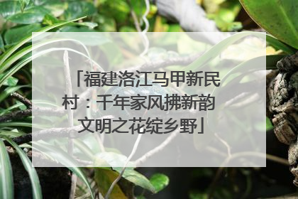 福建洛江马甲新民村：千年家风拂新韵 文明之花绽乡野