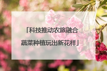 科技推动农旅融合 蔬菜种植玩出新花样