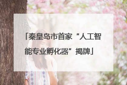 秦皇岛市首家“人工智能专业孵化器”揭牌