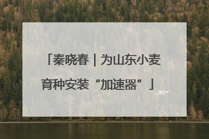 秦晓春｜为山东小麦育种安装“加速器”