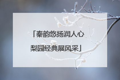 秦韵悠扬润人心 梨园经典展风采